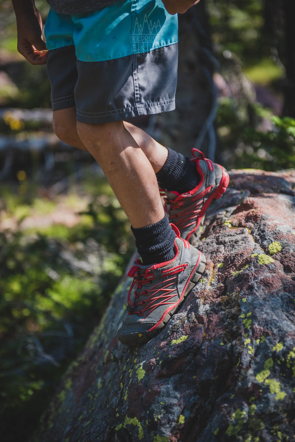KEEN Kids Hiking Shoes Review |Chandler 